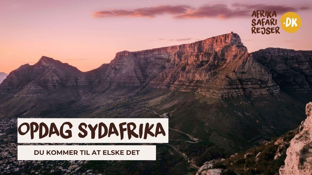 Nyhed! Rejs til Sydafrika med Afrika Safari Rejser