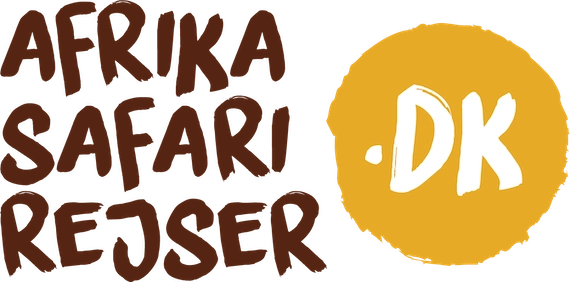Specialisten i afrikanske safarier