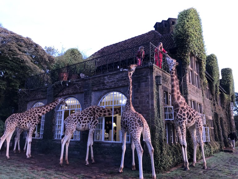Giraffe Manor hvor børn og giraffer lever side om side.