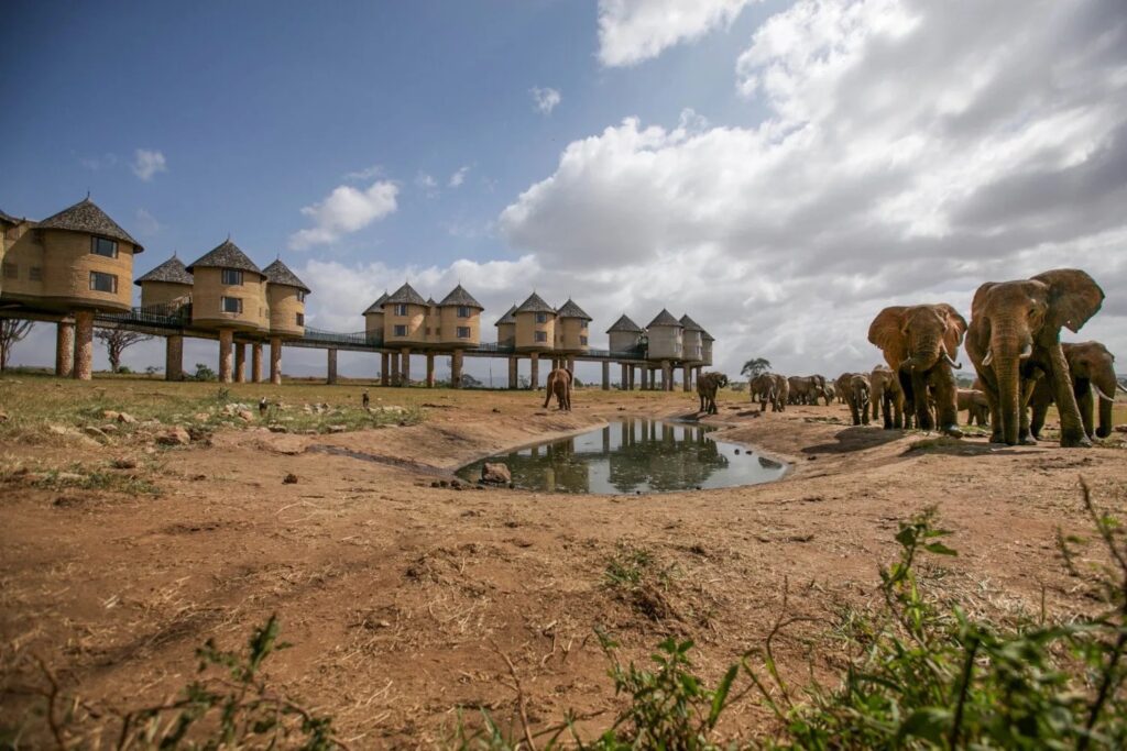 Safari lodges i Kenya, som er velegenede for familier med børn. Elefanter ved vandhul.