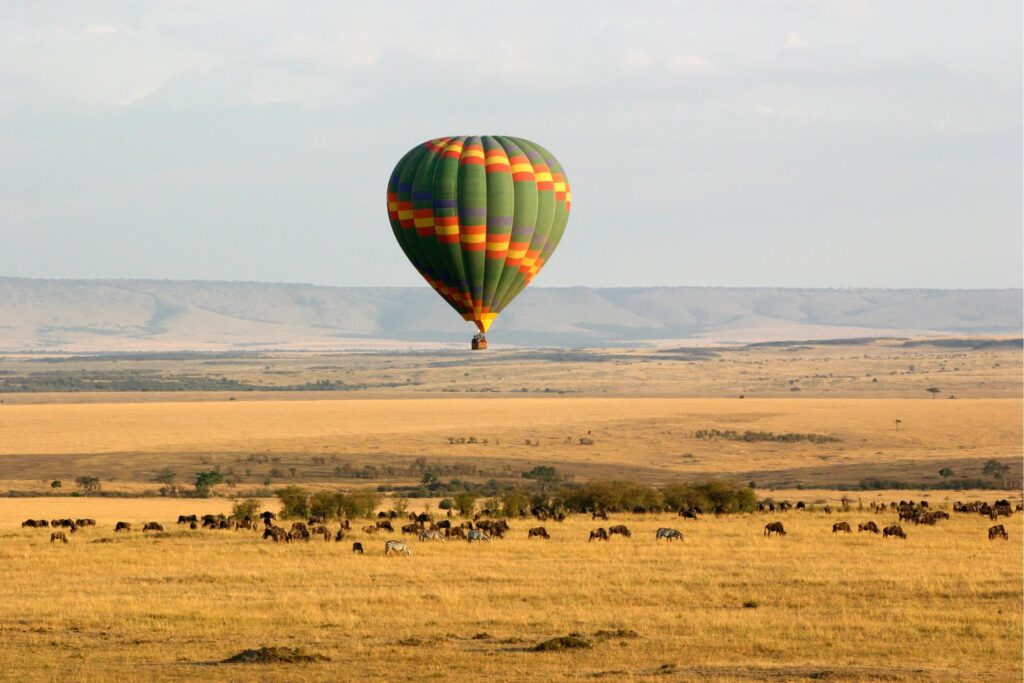 Luftballon over Masai Mara med zebraer og gnuer på savannen
