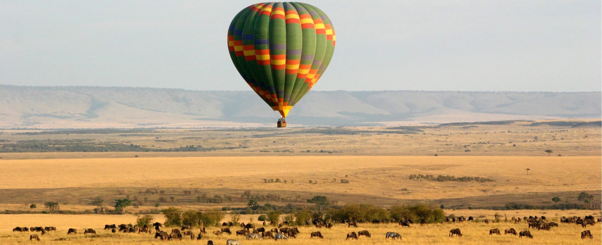 Luftballon over Masai Mara med zebraer og gnuer på savannen