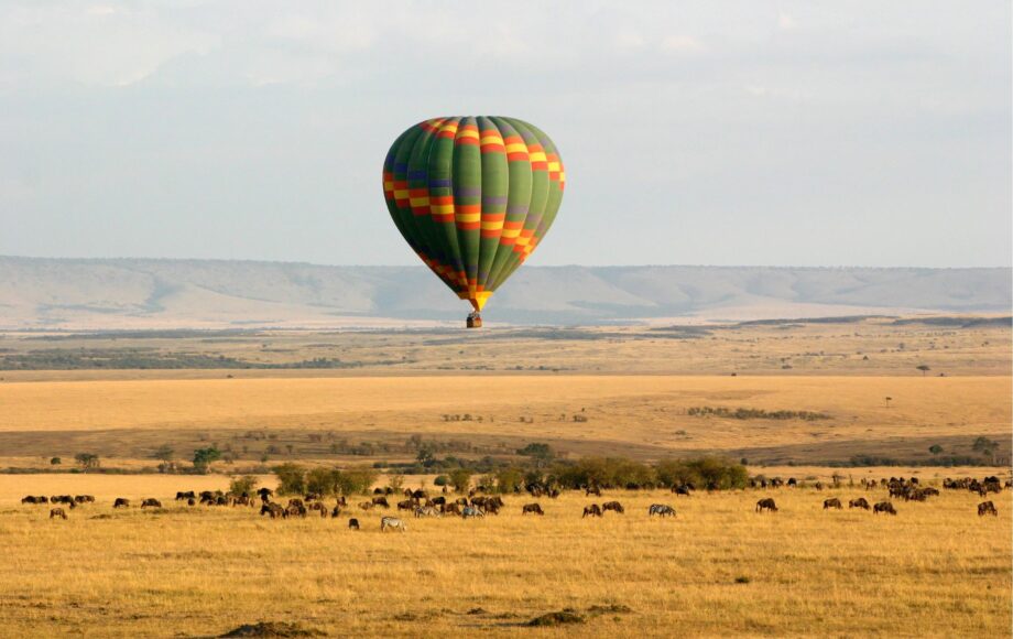 Luftballon over Masai Mara med zebraer og gnuer på savannen