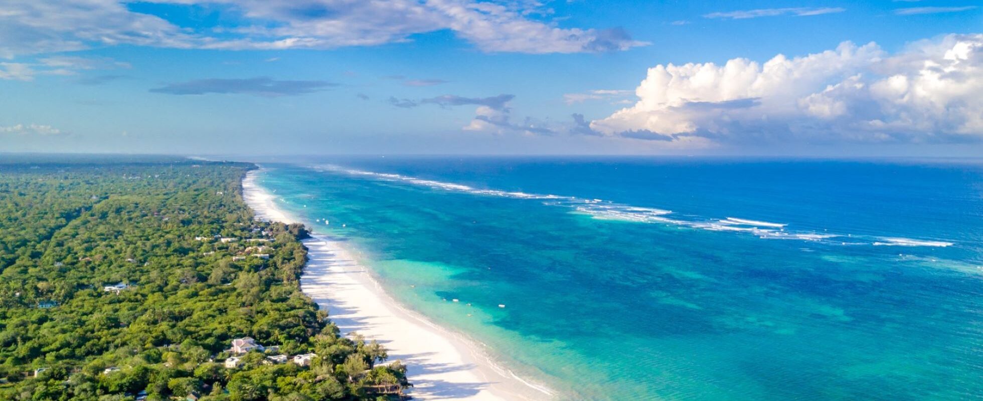 Hvid sandstrand på Diani Beach med træer på den ene side og det blå hav på den anden.