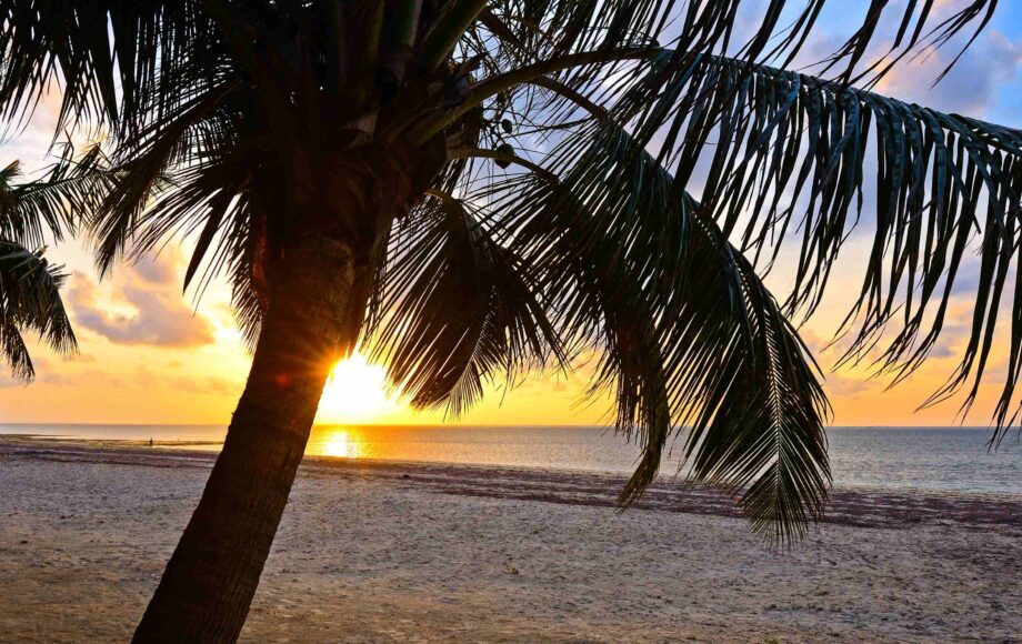 Sandstranden Diani Beach med solnedgang og palmetræer