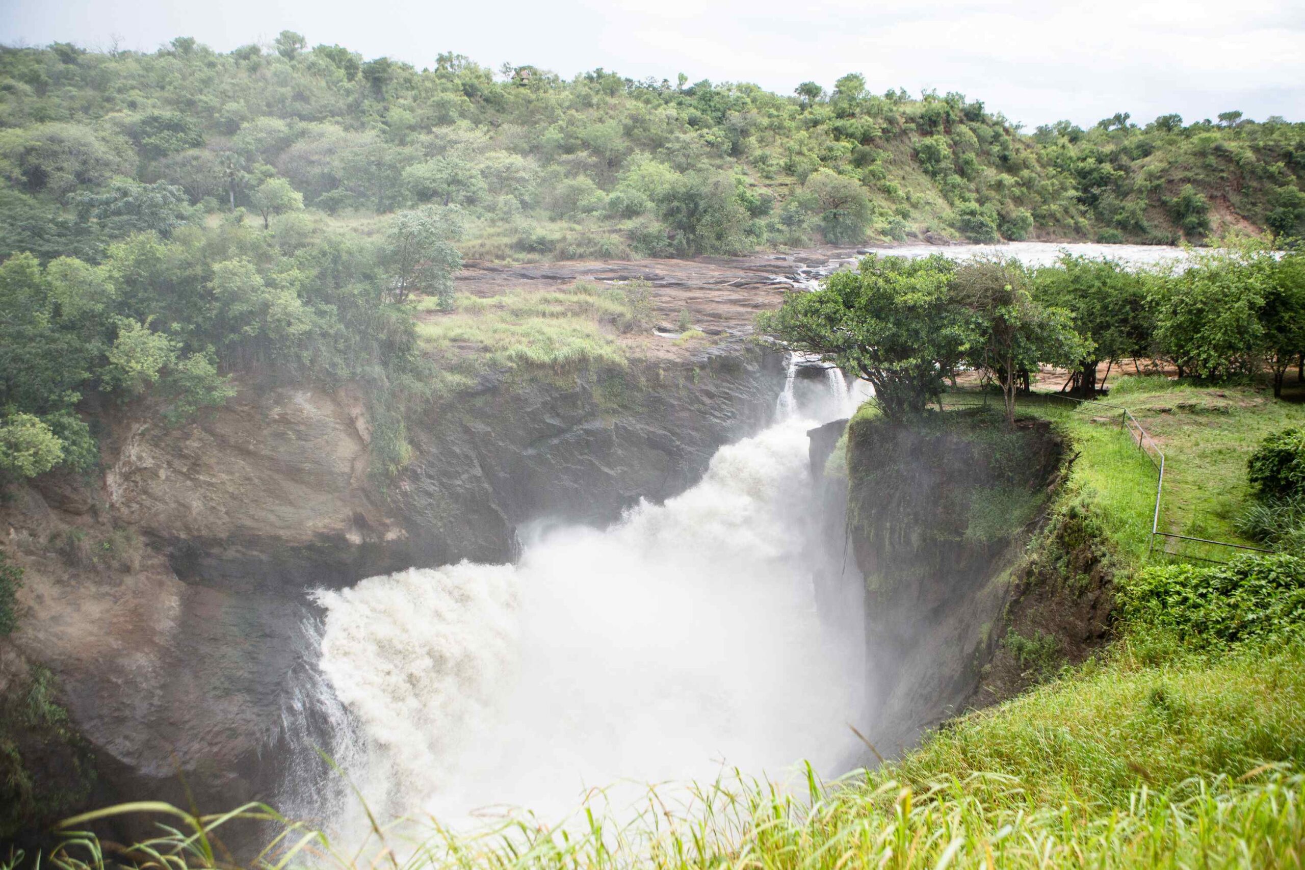 Toppen af Murchison Falls – Vandretur i Murchison Falls National Park