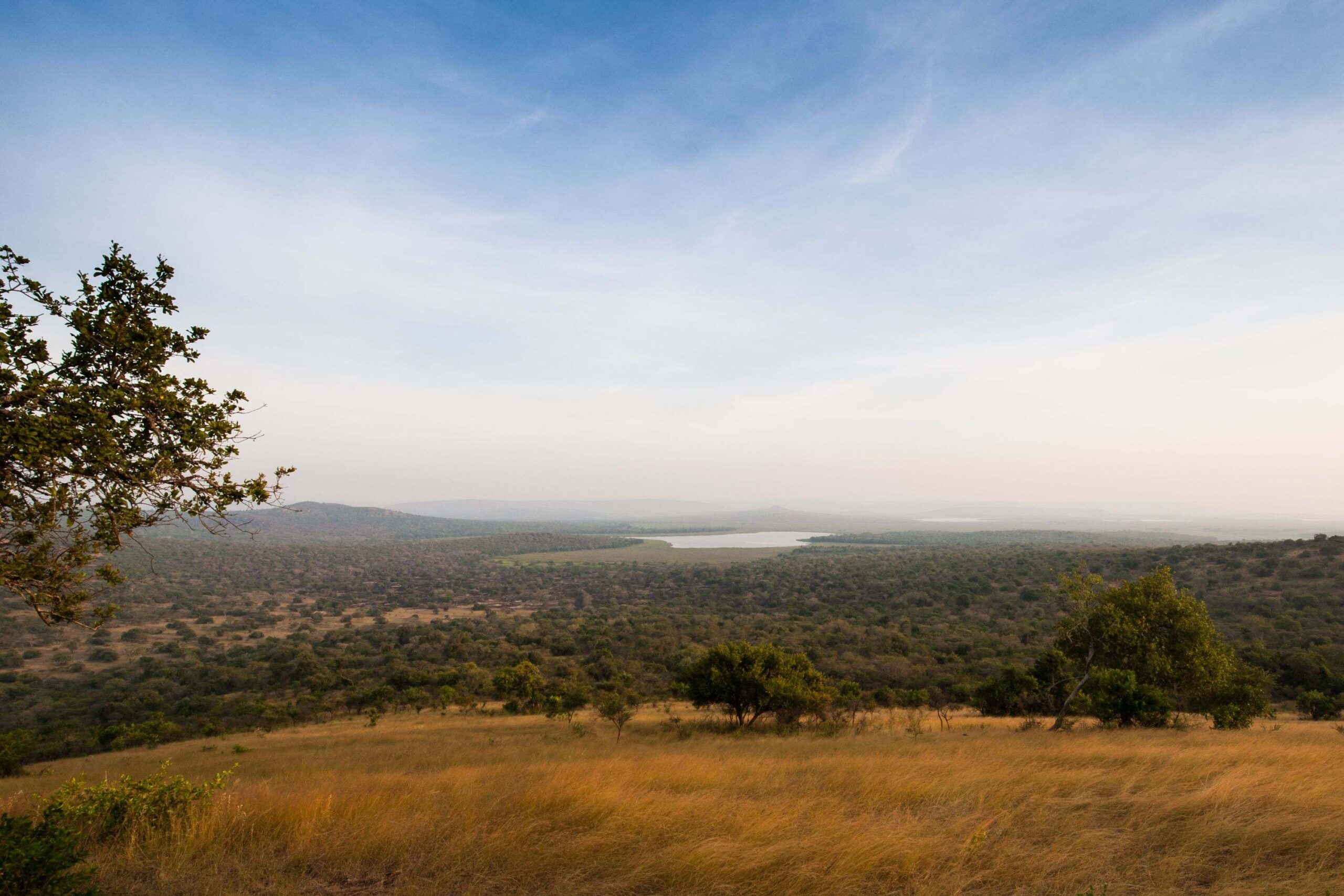 Kør fra Mgahinga Gorilla National Park til Lake Mburo National Park