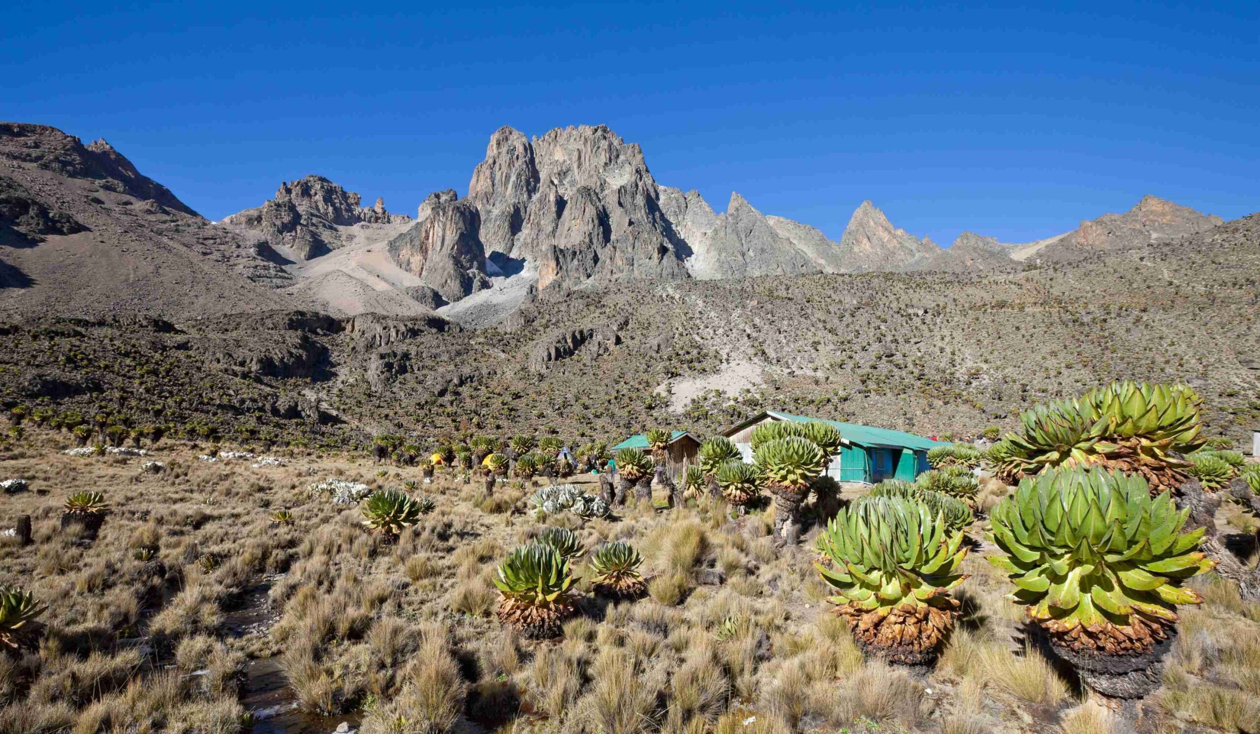 Mount Kenya via Sirimon Route (3/5) | Akklimatiseringsdag ved Shiptons Camp (4.200 meter)