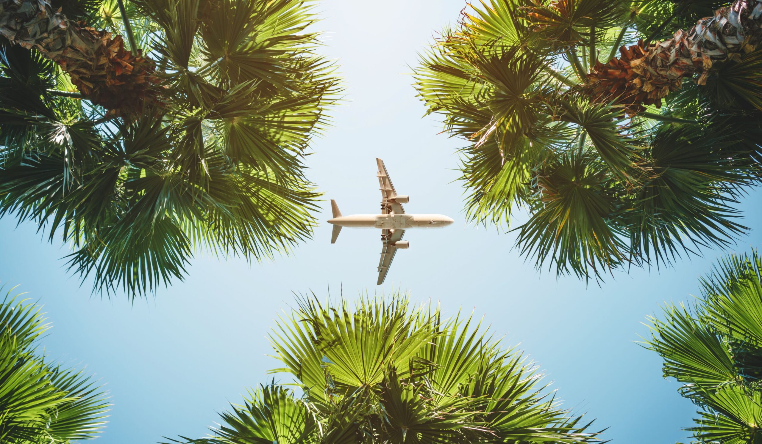 Fly til Diani Beach (inkluderet i prisen)