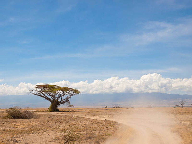 Kør til Masai Mara National Reserve og videre til din indkvartering uden for parken