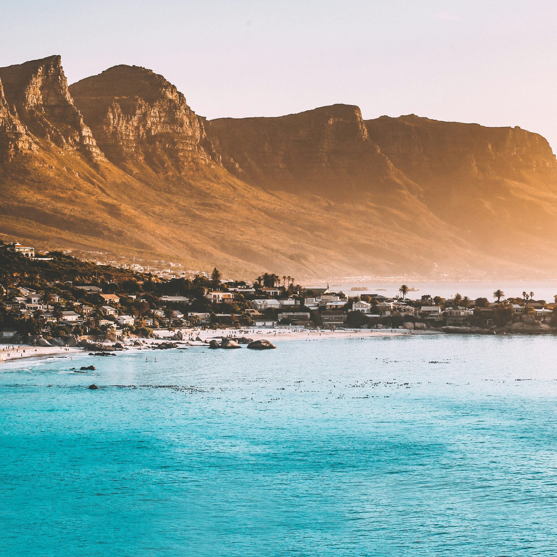 Udsigt over kystlandskab uden for Cape Town i Sydafrika
