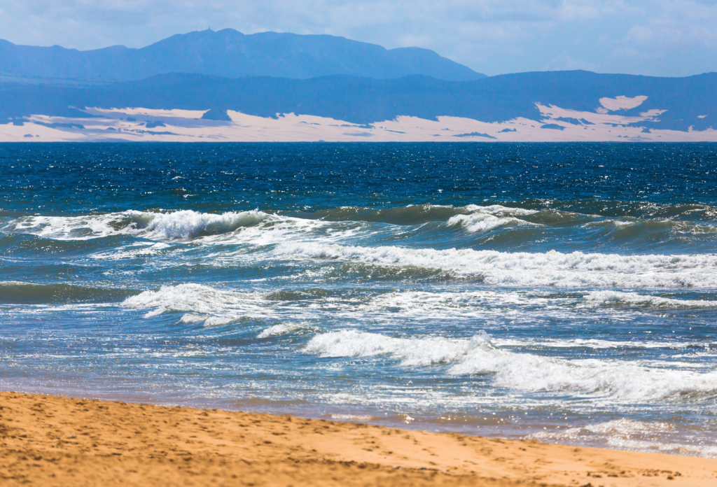 Bølger i havet med bjerge i baggrunden i Eastern Cape-provinsen i Sydafrika