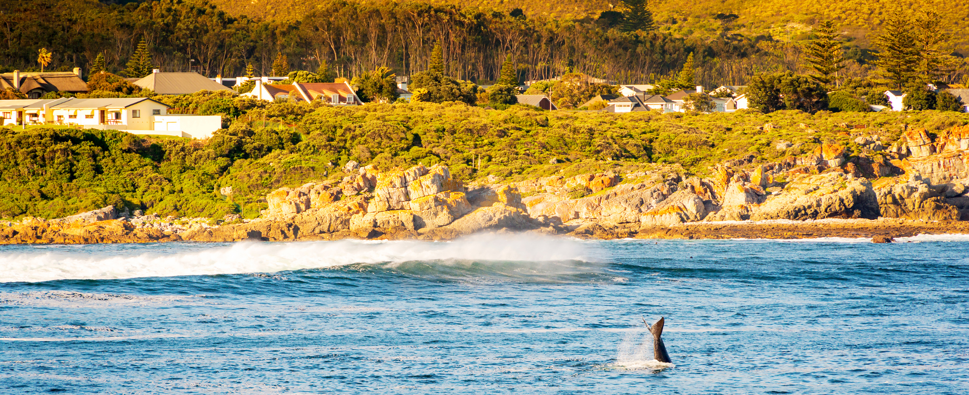 Hvalsafari på Hermanus-kysten i Sydafrika
