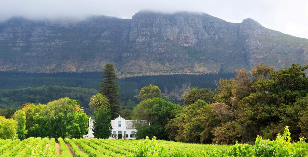 Bjerge, mark og træer i sydafrika. Vejret er overskyet.
