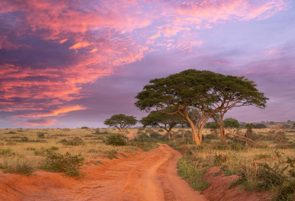 Solnedgang over en grusvej, der snor sig gennem et afrikansk landskab med lav vegetation og træer