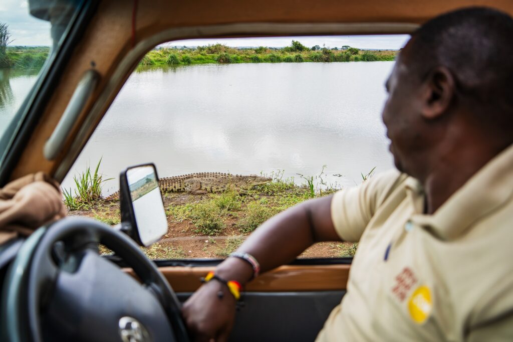 Safarijeep med chauffør, der kigger ud mod søen gennem bilens vindue