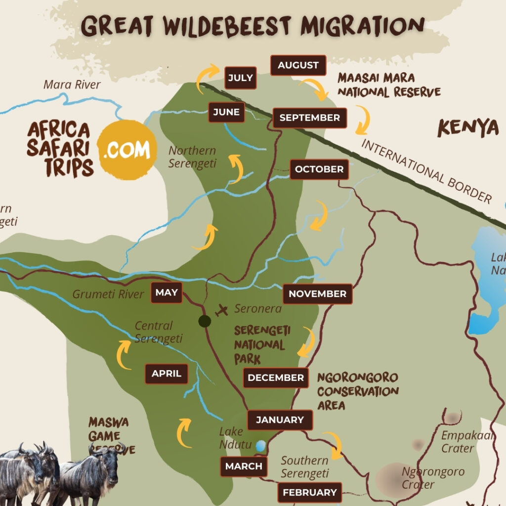 Kort over den store migration i Masai Mara, Kenya