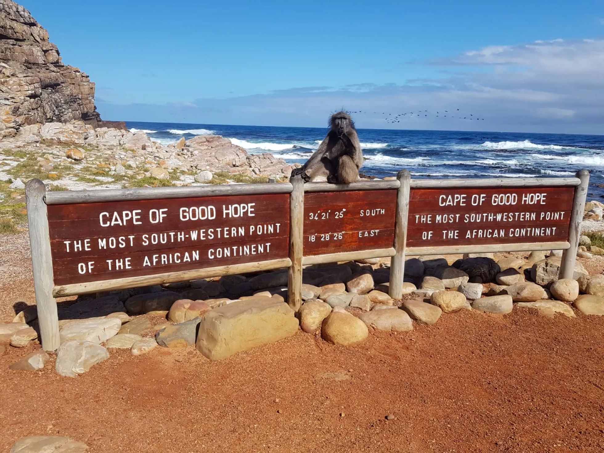 Cape of Good Hope, Cape Point og de afrikanske pingviner