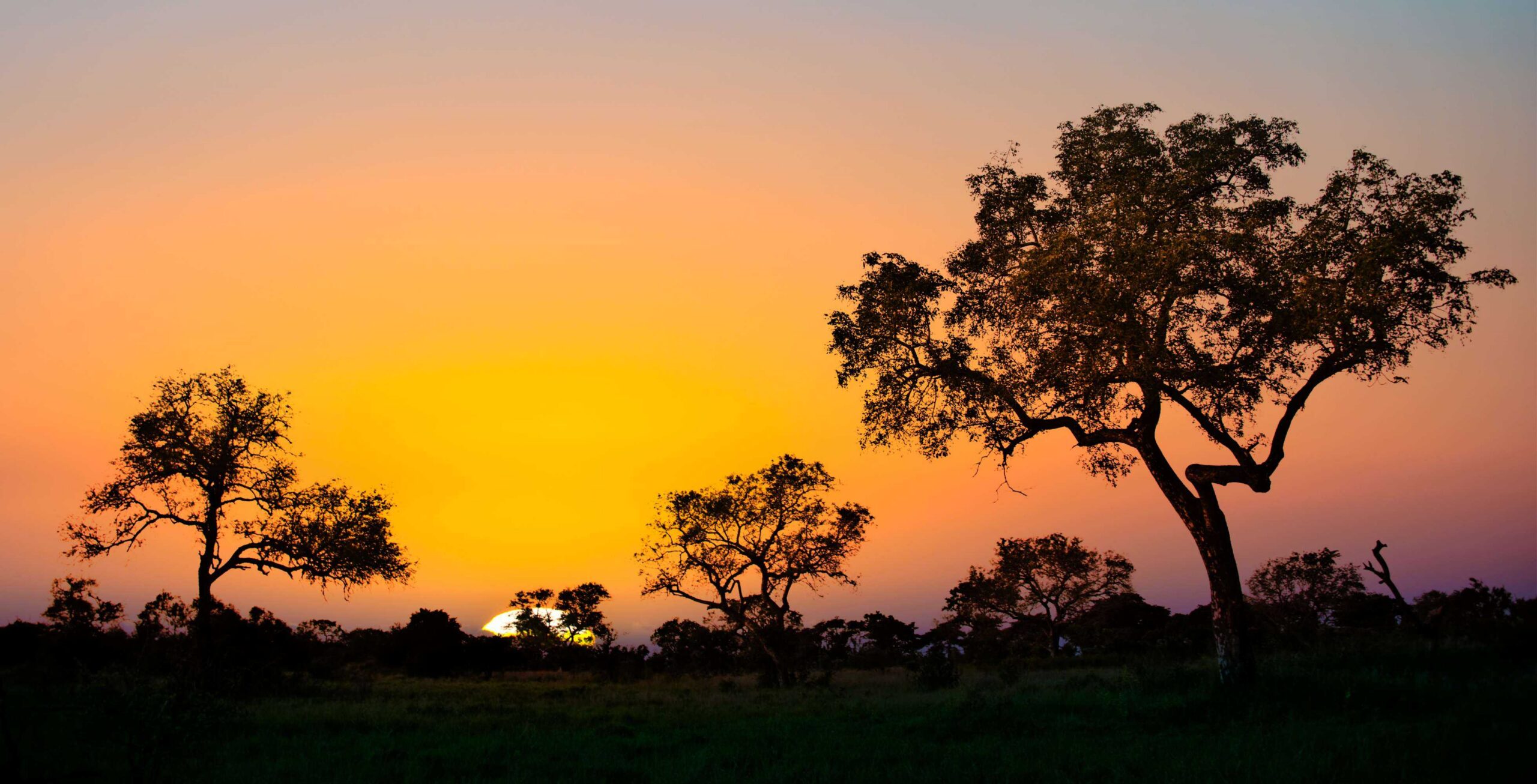 Kør fra Mbombela (Nelspruit) til Kruger National Park, Malelane Gate