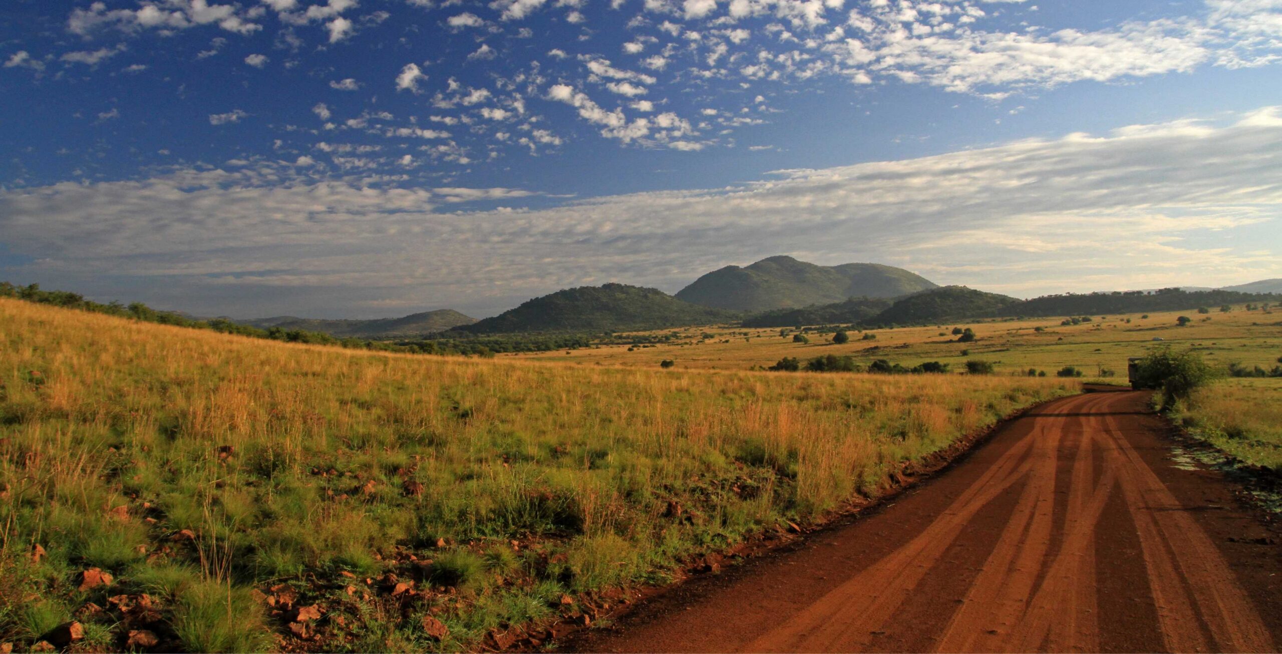 Pilanesberg National Park
