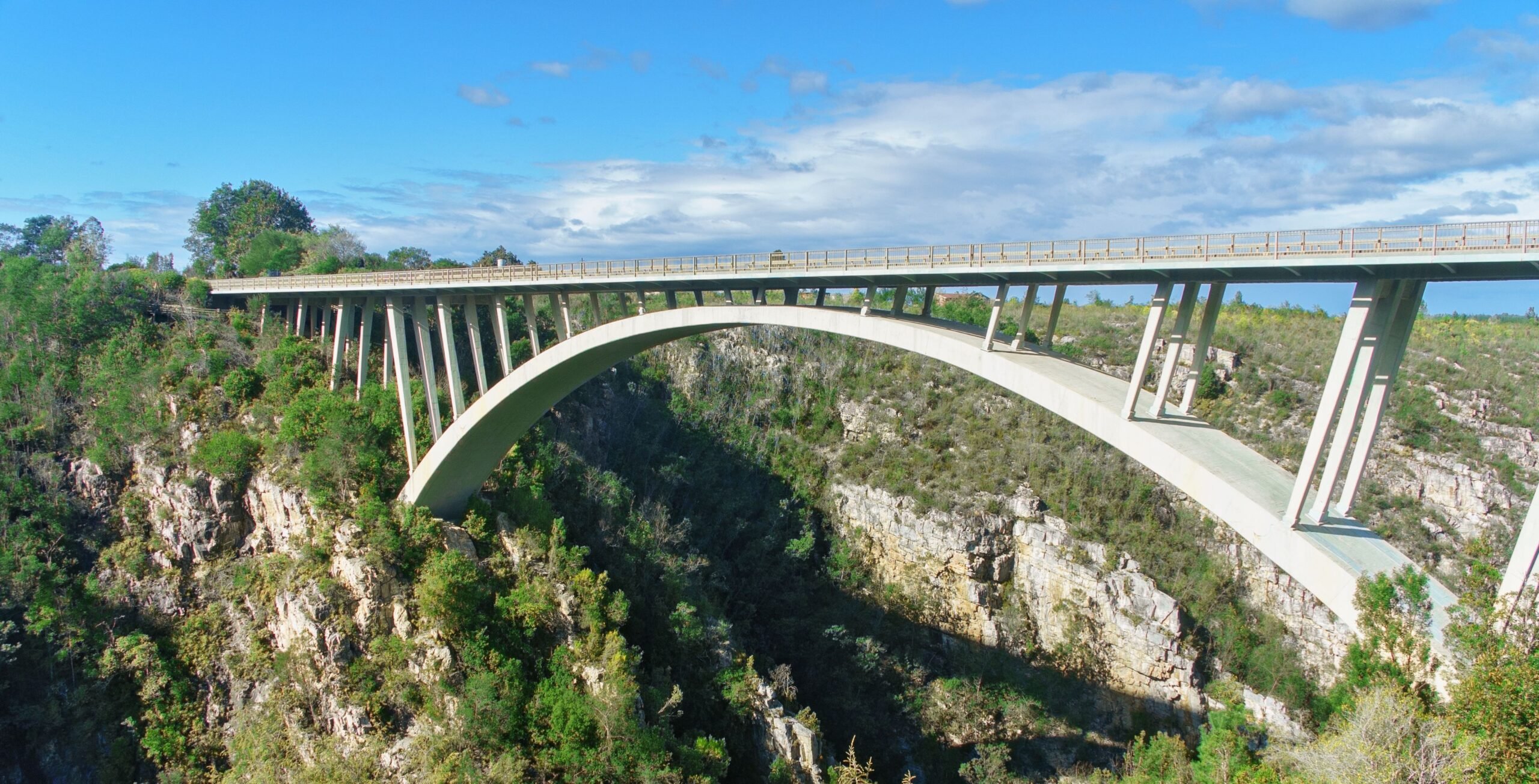 Kør fra Plettenberg Bay til Tsitsikamma