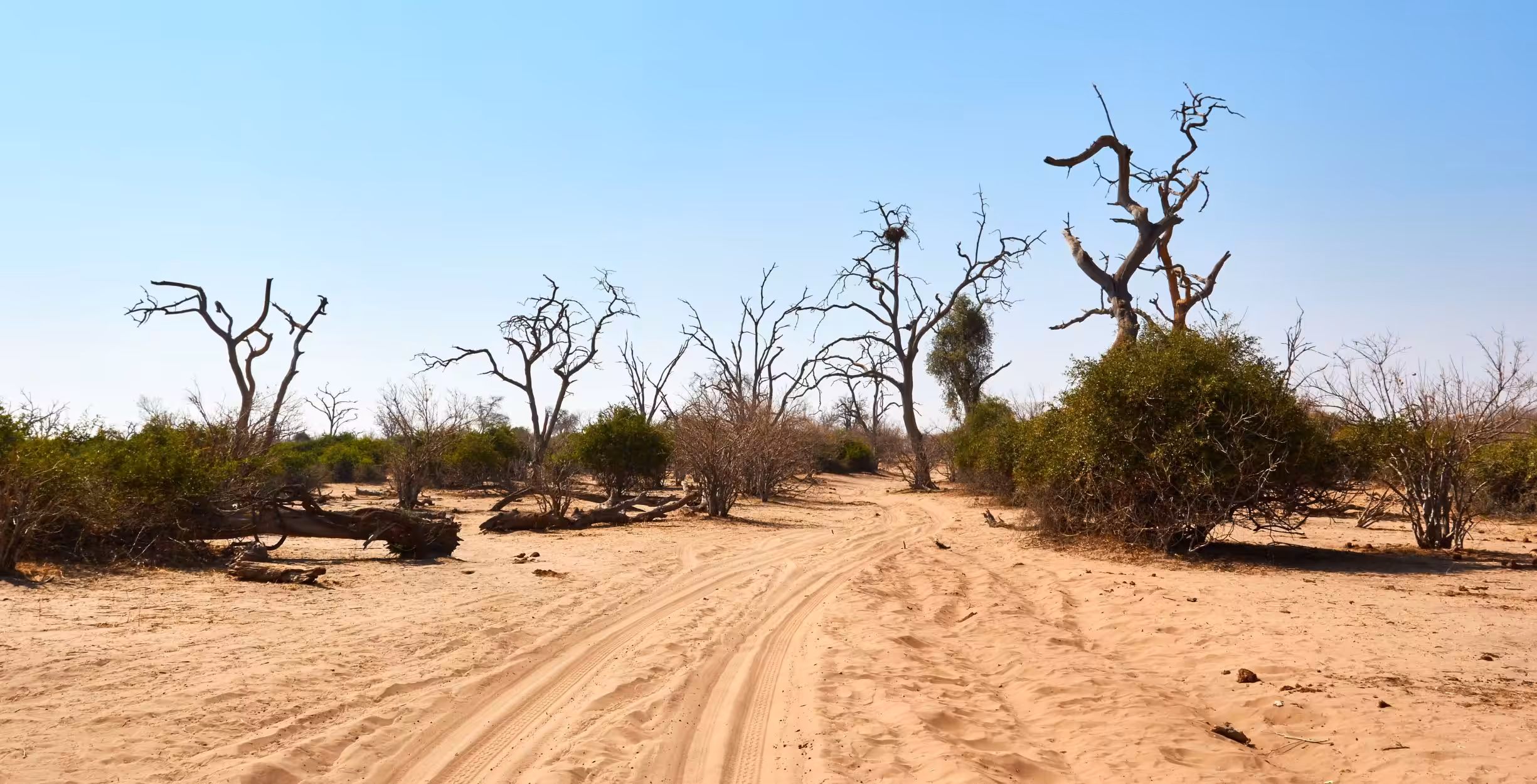 Drive from Savuti Marsh to Chobe Riverfront
