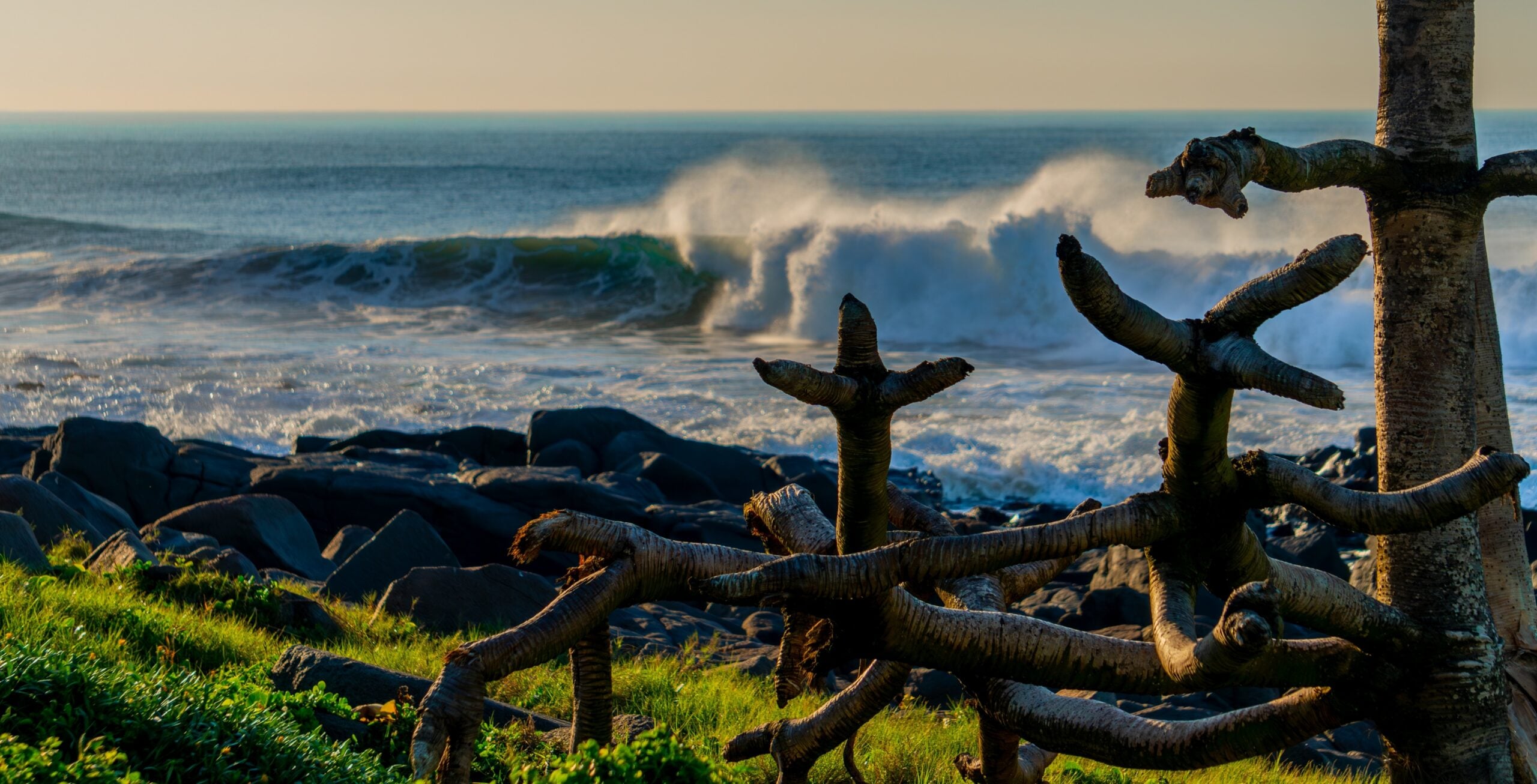 IM_SA_BAL_Landscape (5)