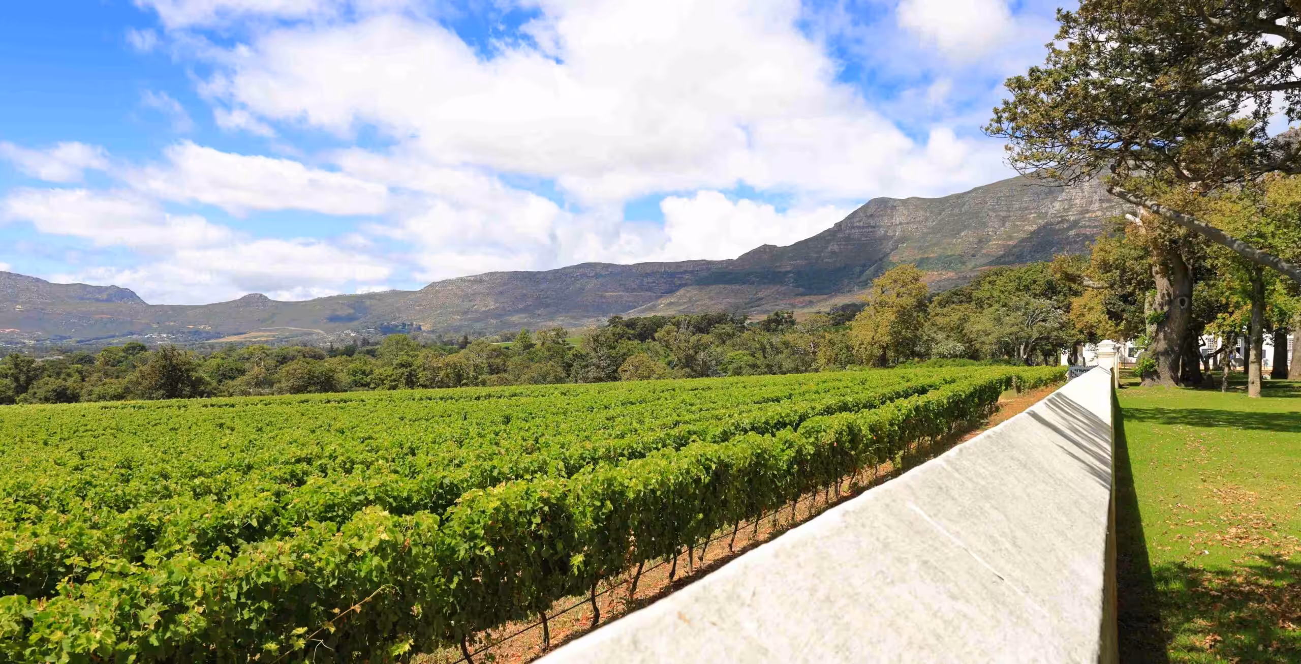 Besøg vinkælder inklusiv vinsmagning på Groot Constantia (betaling på stedet)