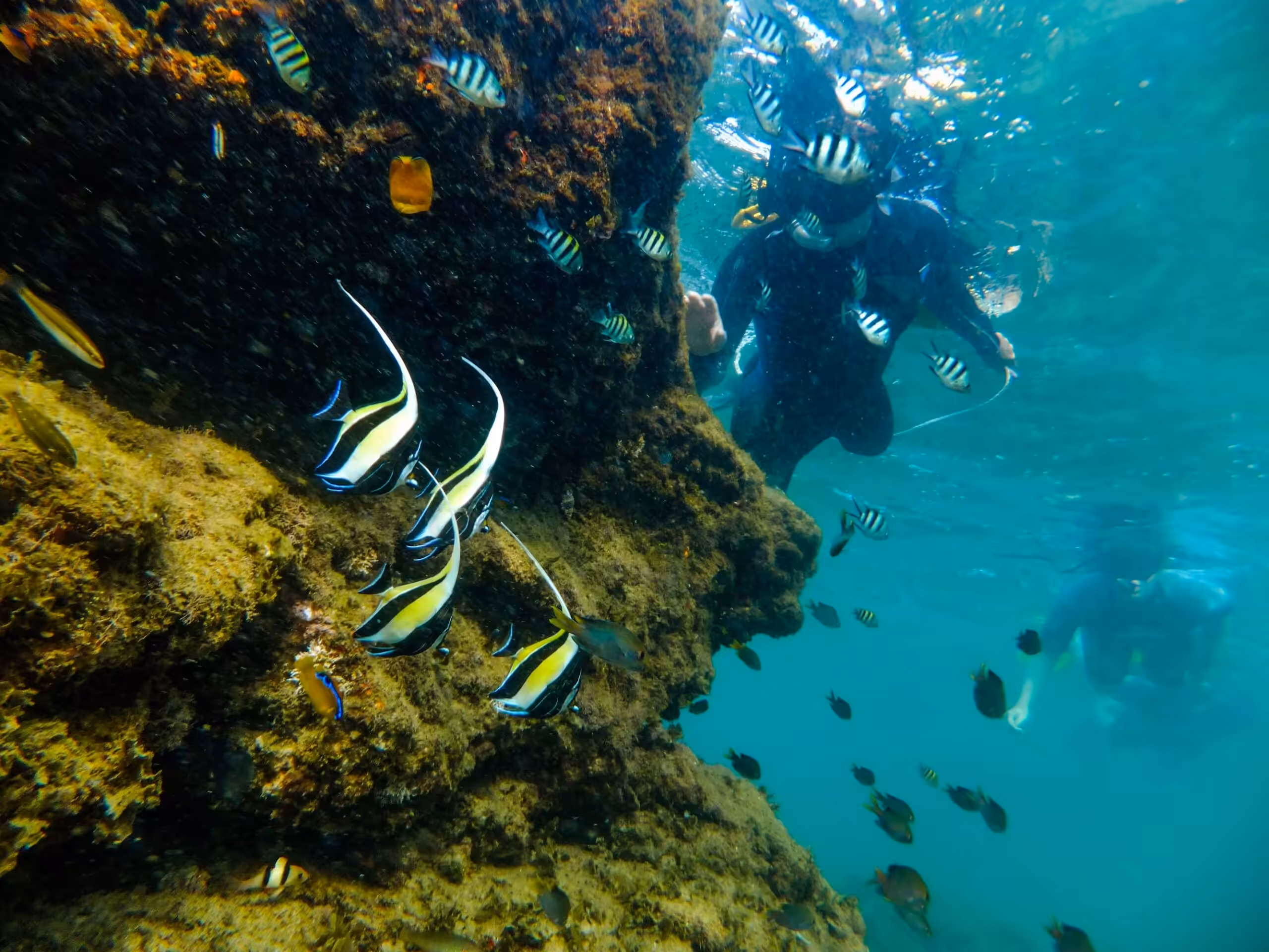 Snorkling ved Cape Vidal