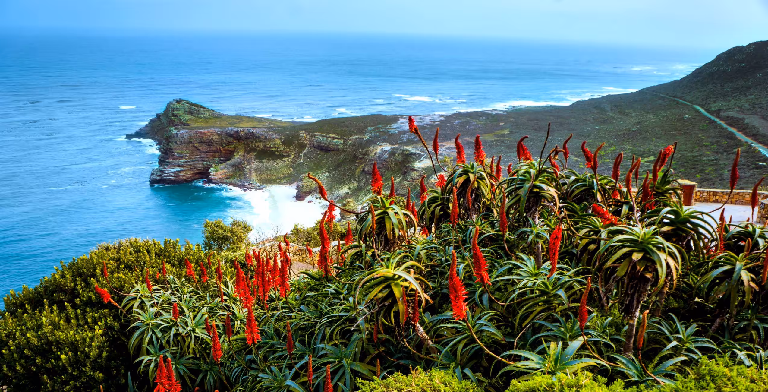 Besøg Cape of Good Hope og Cape Point Section af Table Mountain National Park