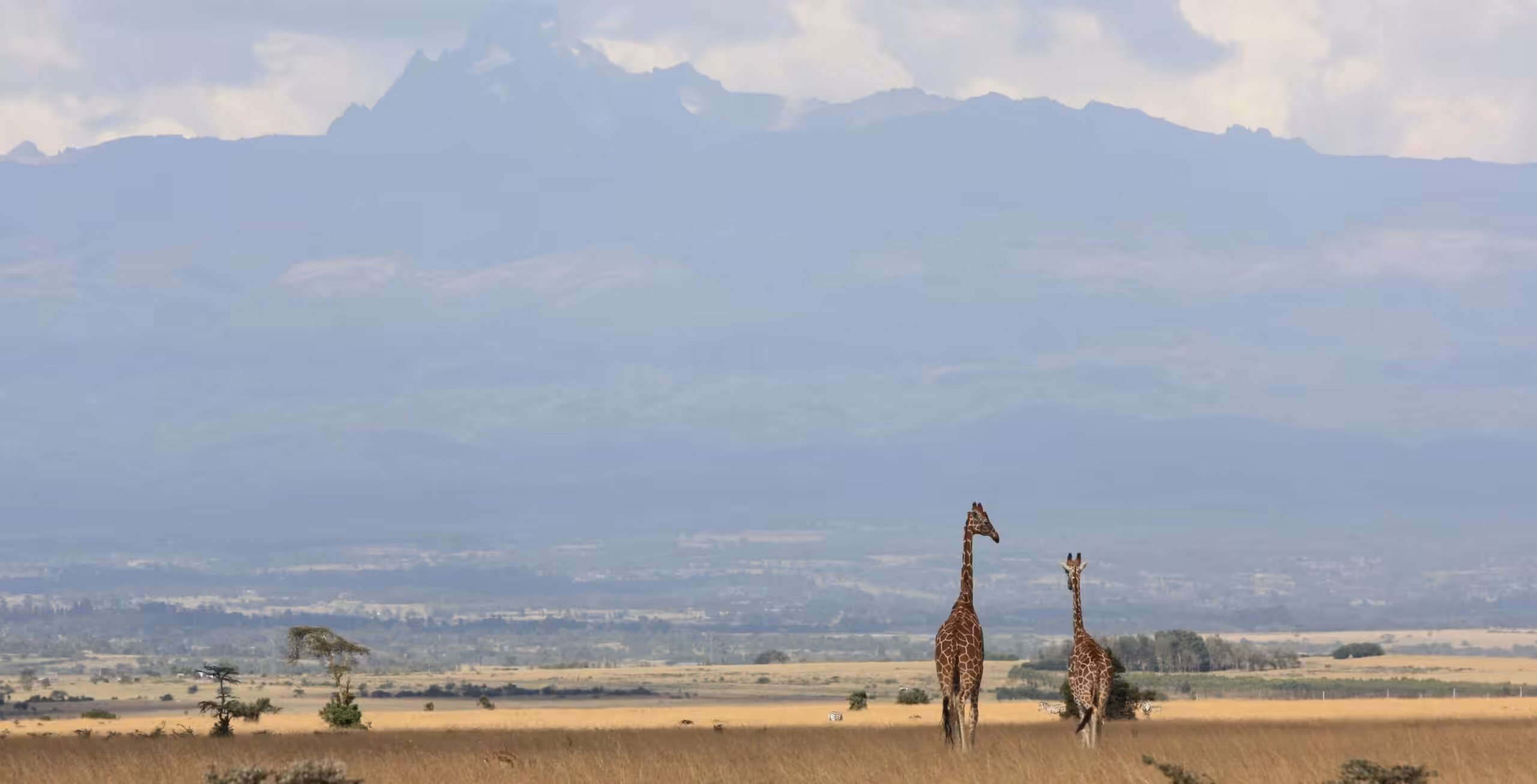 Aberdare National Park