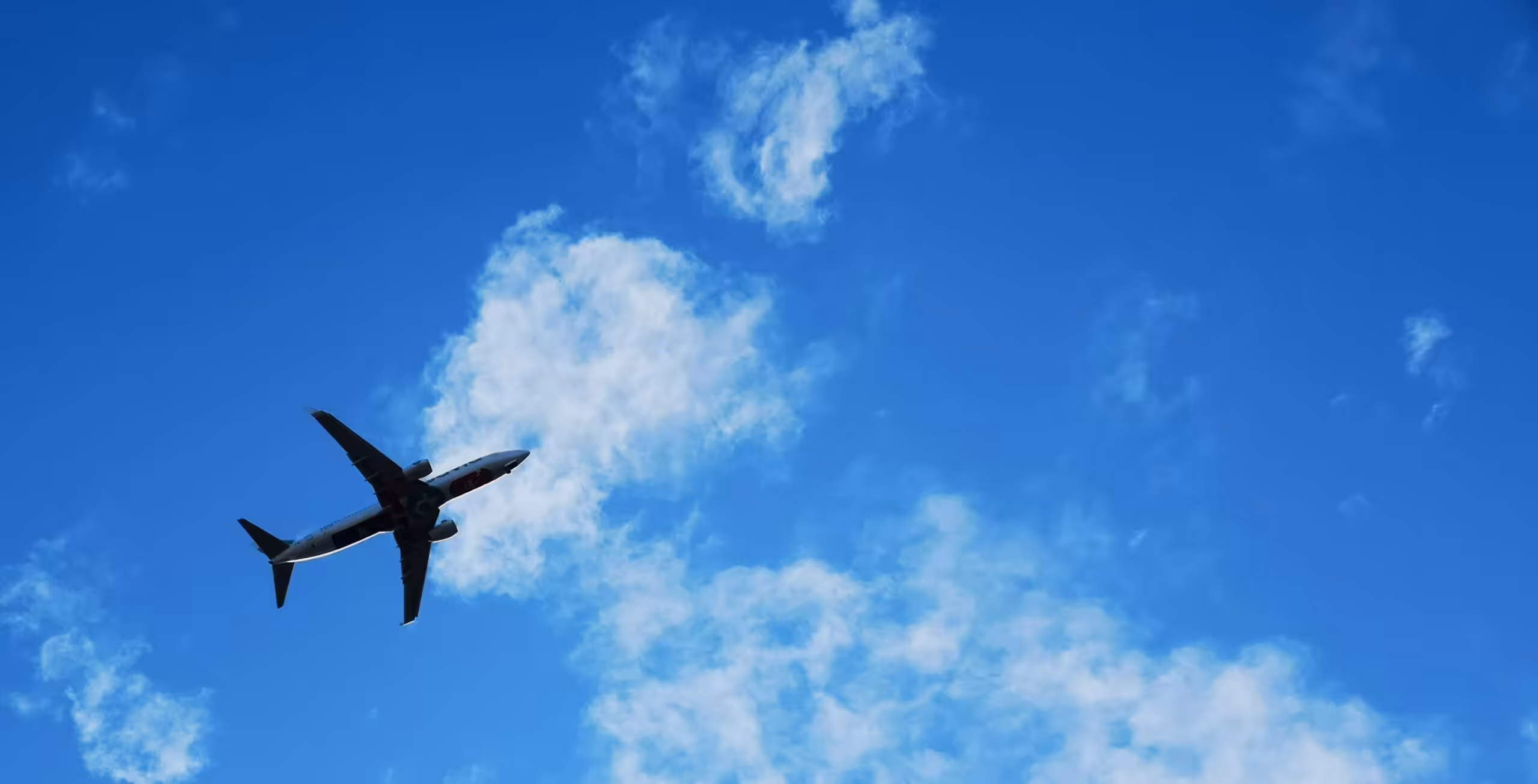 Fly fra Victoria Falls i Zimbabwe til Kasane i Botswana