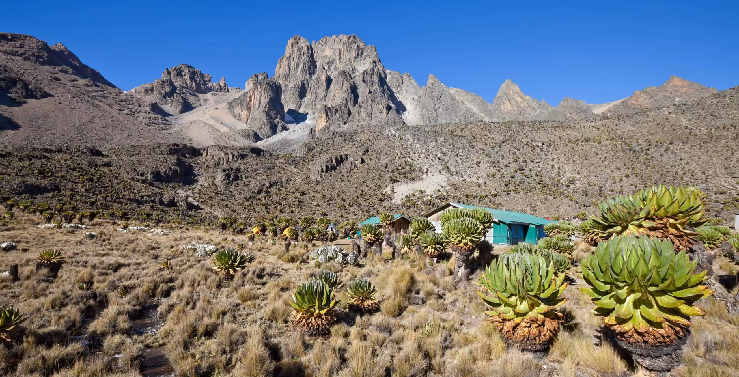 Mount Kenya via Sirimon Route (2/5) | Old Moses Camp (3.340 m) – Shipton’s Camp (4.200 m)