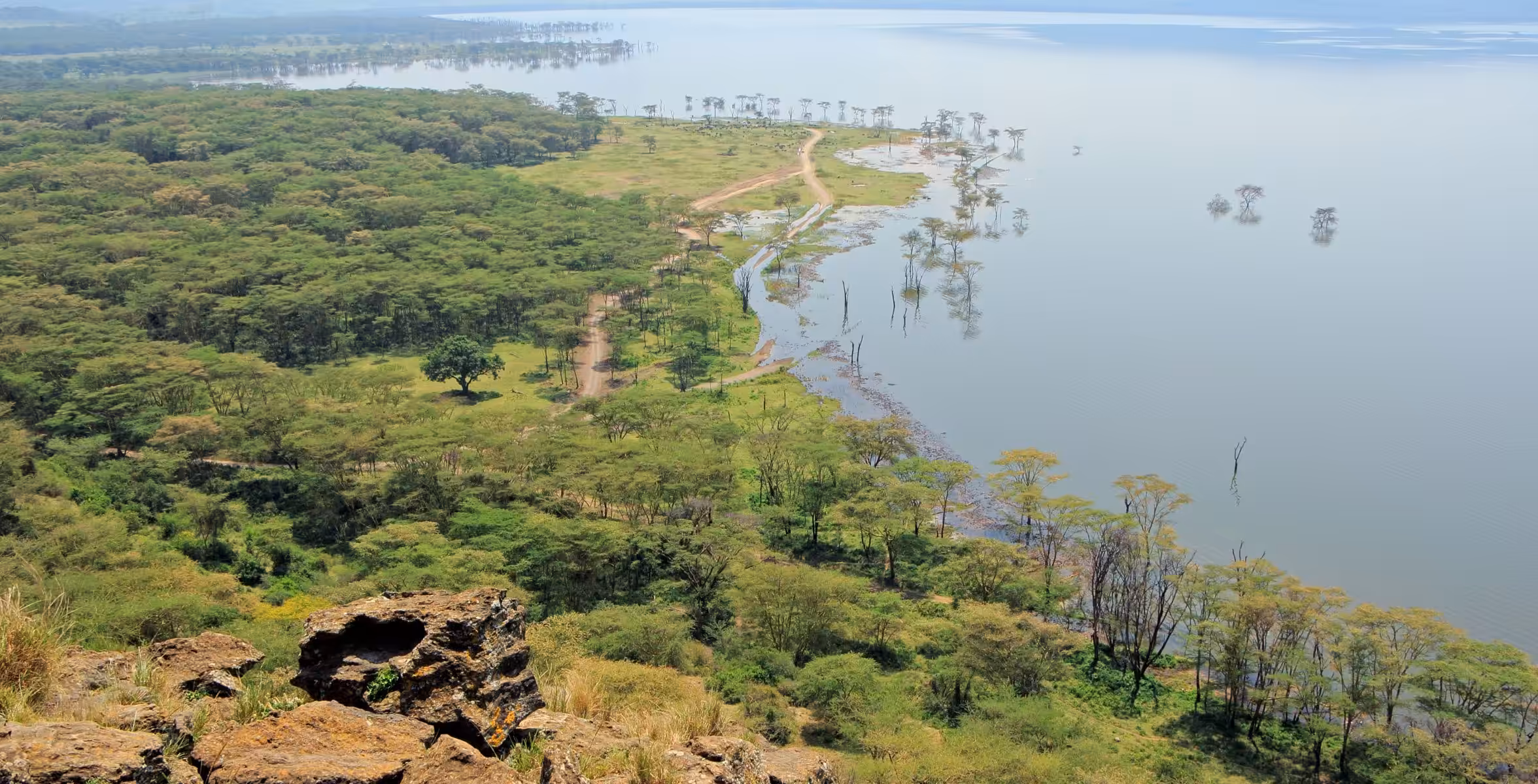 Kørsel fra Solio Conservancy til Lake Nakuru National Park
