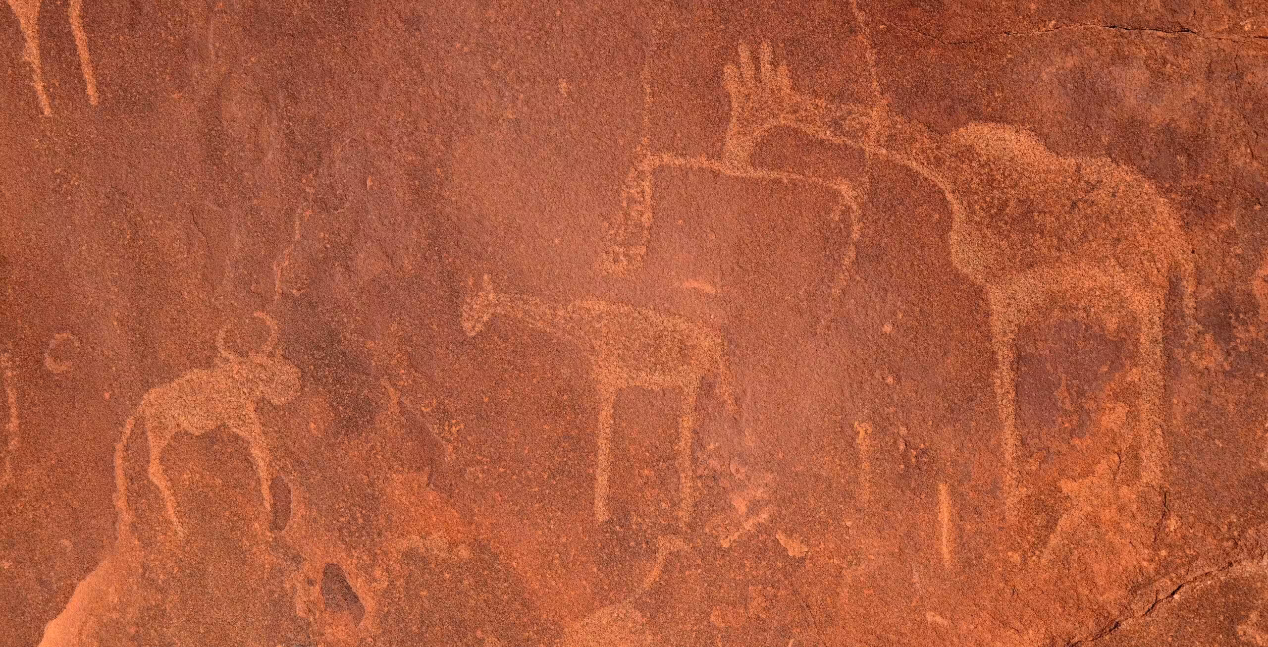 Damaraland