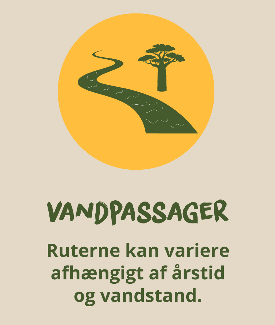 Vandpassager i Botswana kan få safariruterne til at variere afhængigt af årstid og vandstand.