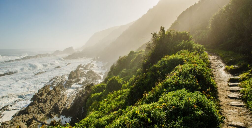 En vandresti på en bjergskråning med udsigt over den barske kystlinje langs Sydafrikas Garden Route