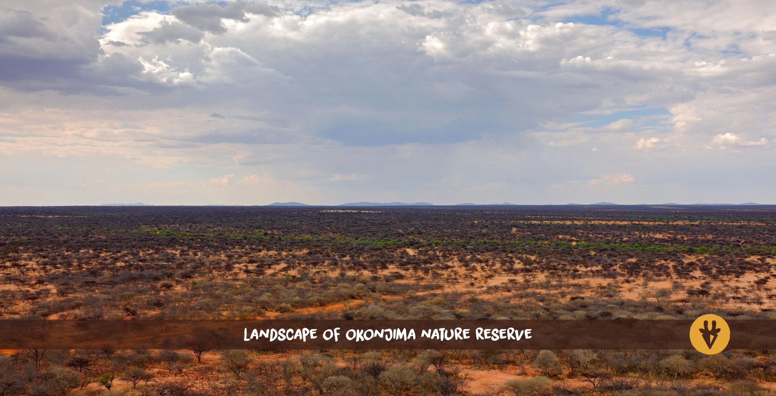 De åbne landskaber i Okonjima Nature Reserve i Namibia set fra oven med buske og træer