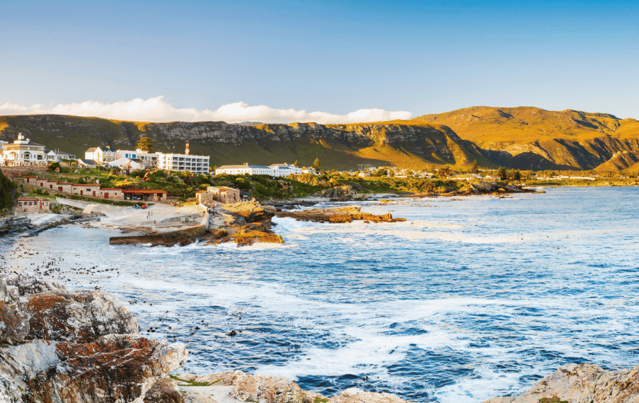 Waves crashing against the rocky coastline of Hermanus, South Africa.