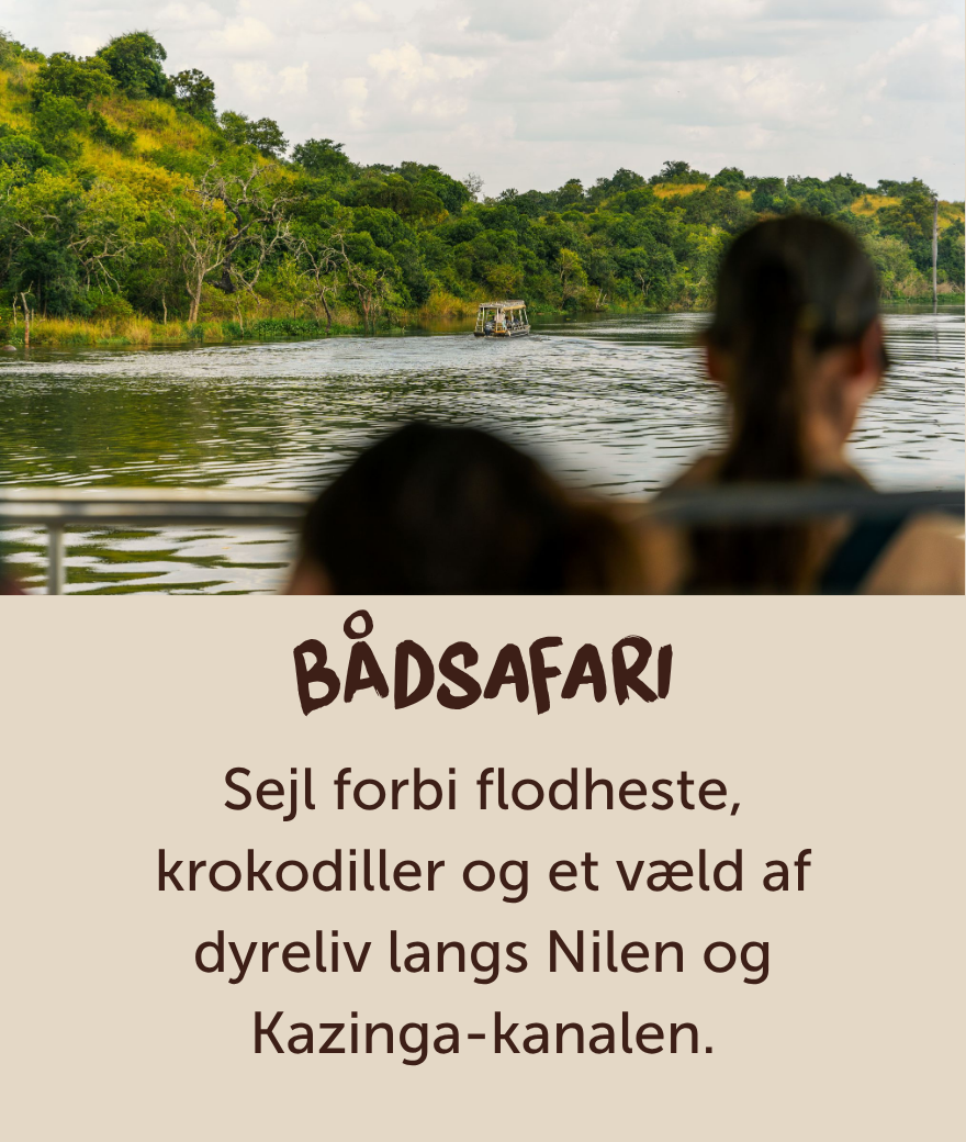 Rejsende på en bådsafari i Uganda med et væld af liv langs floden