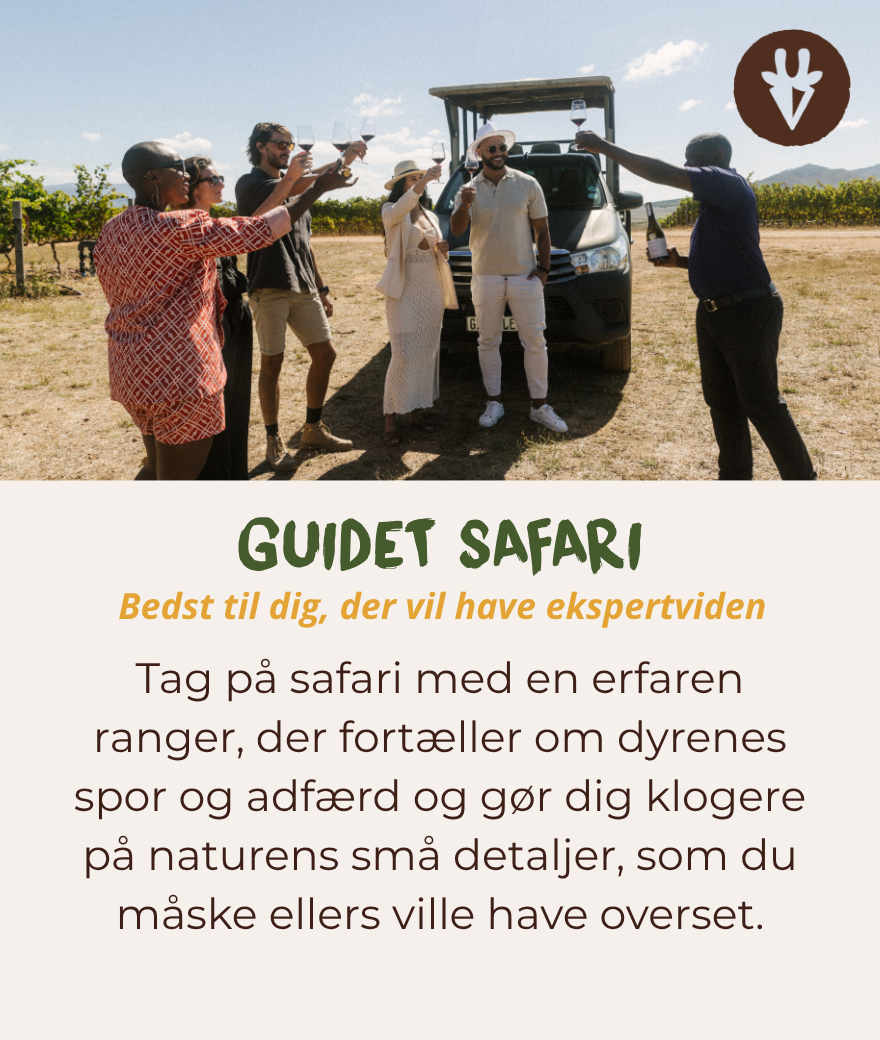 Guidet safari med en erfaren ranger, der hjælper med at spotte dyrene og deres spor