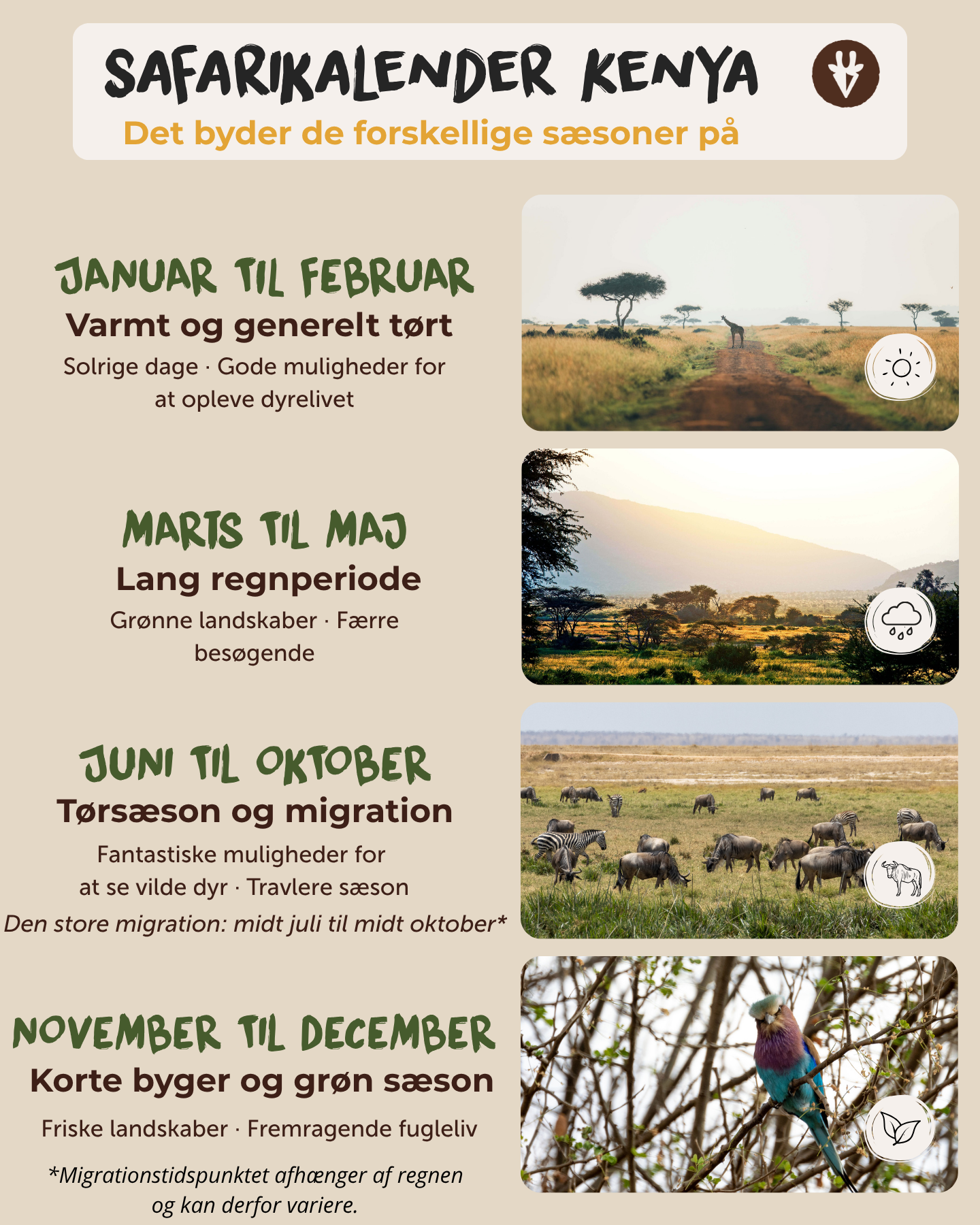 Safarikalender, der viser Kenyas varme tørsæson, lange regnskyl, migrationssæson, korte regnskyl og den store migrationsperiode fra midten af ​​juli til midten af ​​oktober