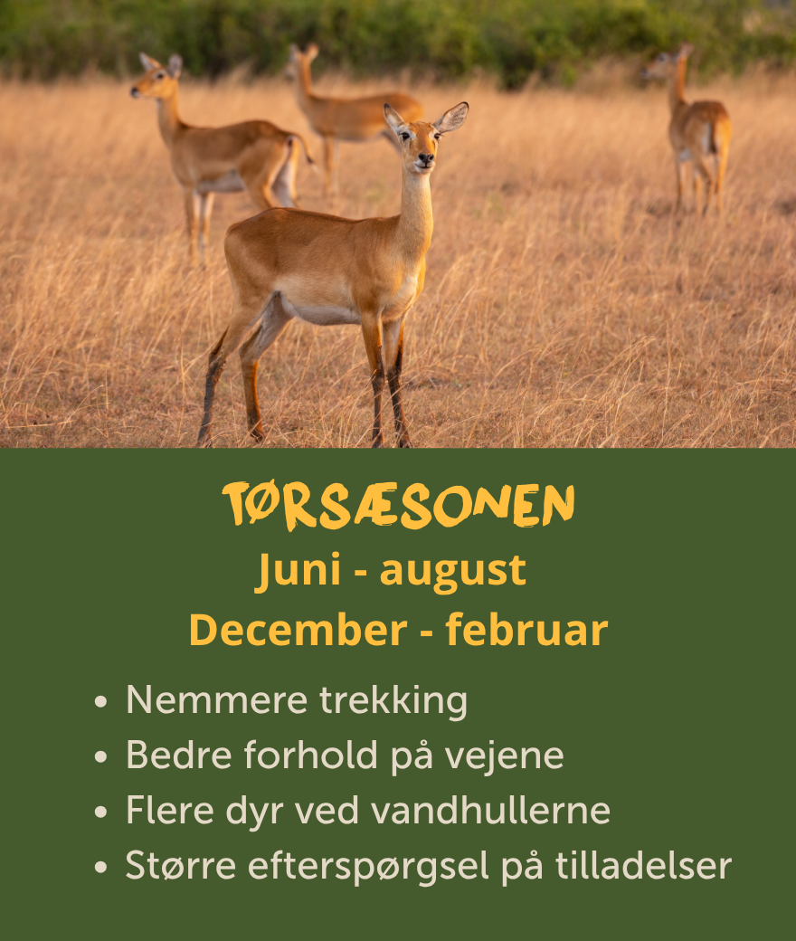 Tørsøsonen i Uganda strækker sig fra juni til august og fra december til februar, hvilket giver bedre forhold til trekking, bedre veje og mulighed for at se dyrelivet nær vandet