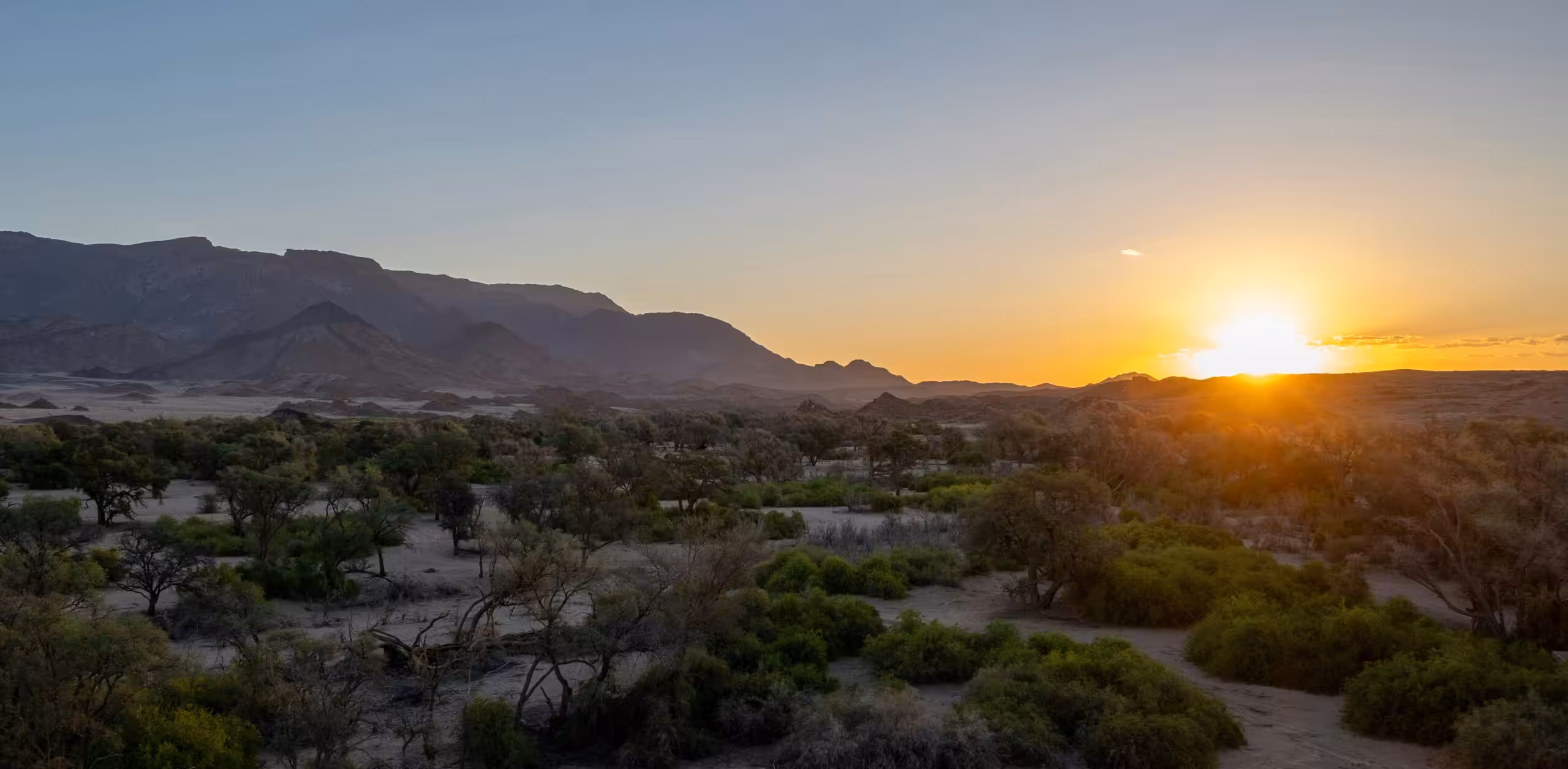 Kør fra Windhoek til Brandberg